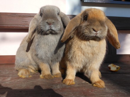 2 sestry, C'Barborka a C'Lucka